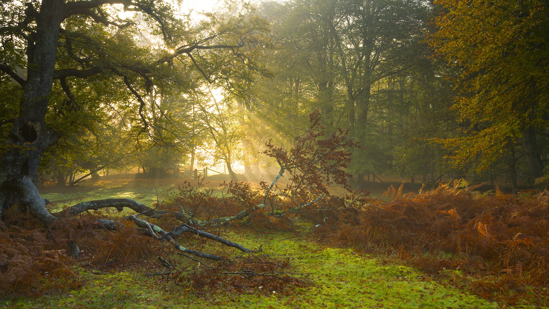 爱游戏体育（AYX）官方APP下载-_云端极速跑：虚拟空间中挑战极限_，云端超级云